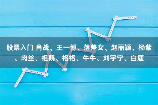 股票入门 肖战、王一博、落差女、赵丽颖、杨紫、肉丝、祖鹅、格格、牛牛、刘宇宁、白鹿